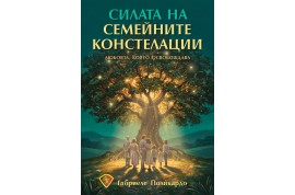 Откъс от „Силата на семейните констелации”
